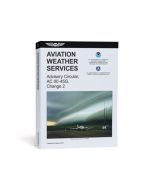 Aviation Weather Services